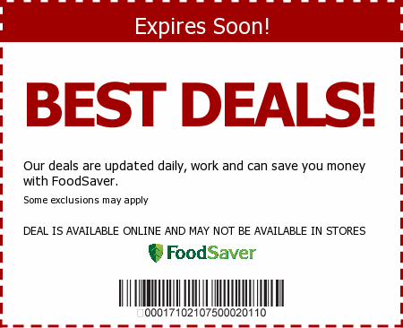 FoodSaver Promo Code