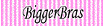 Bigger Bras Coupon Codes