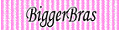 Bigger Bras Coupons