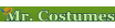 Mr. Costumes Coupon Codes