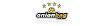Onion Bag Coupon Codes