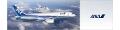Nippon Airways Coupons