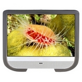 AOC M19W531 19" LCD TV Coupons