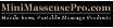 MiniMasseusePro.com Coupons