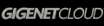 Gigenet Promo Codes
