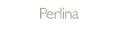 Perlina Coupons